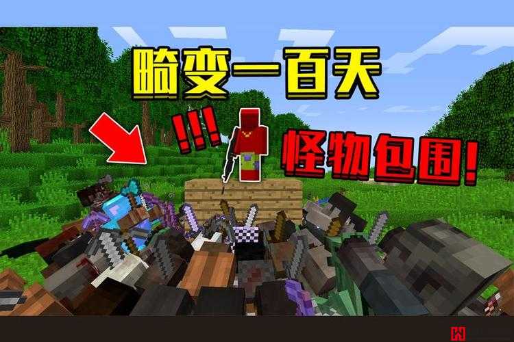 暴躁老外玩 Minecraft 蘑菇：惊险刺激的游戏冒险之旅