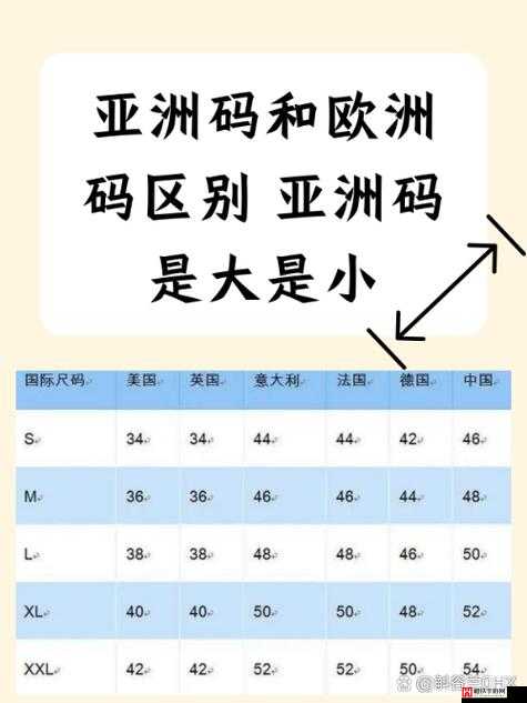 欧洲一码二码区别在哪：深度解析与比较